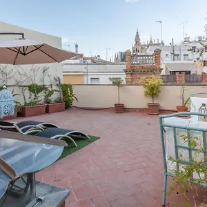 Roof Cathedral Seville